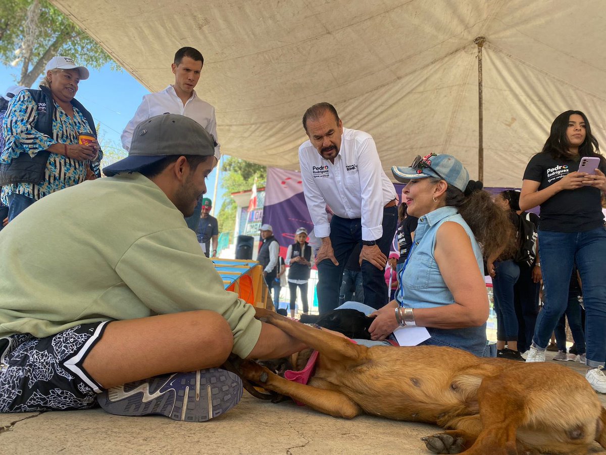 Pedro_RVillegas's tweet photo. Así vivimos el #PerroFest con mis amigas y amigos de #LomasDeAtizapán. 🐾
¡Un gusto comenzar el sábado en compañía de todos ustedes! ☀️ https://t.co/f7ECFRDwO3