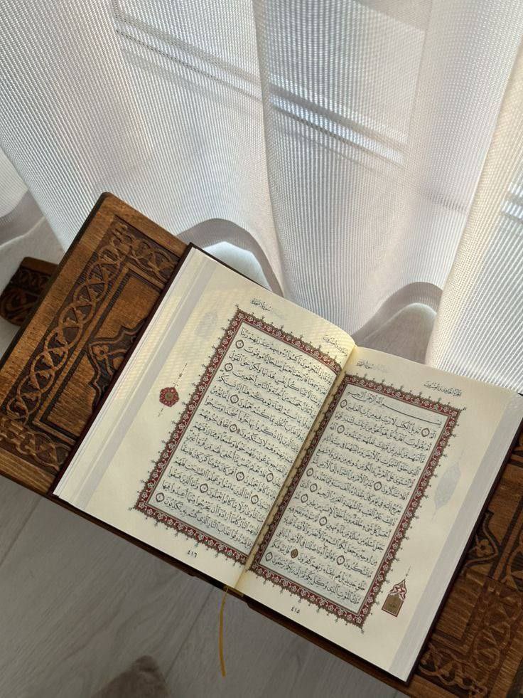 من تذوَّق لذَََّة القرآن وأنسَهُ ونعيمَهُ، أيقنَ أنَّ بذل العُمرِ في غيرهِ حسرة وندامة"🌱