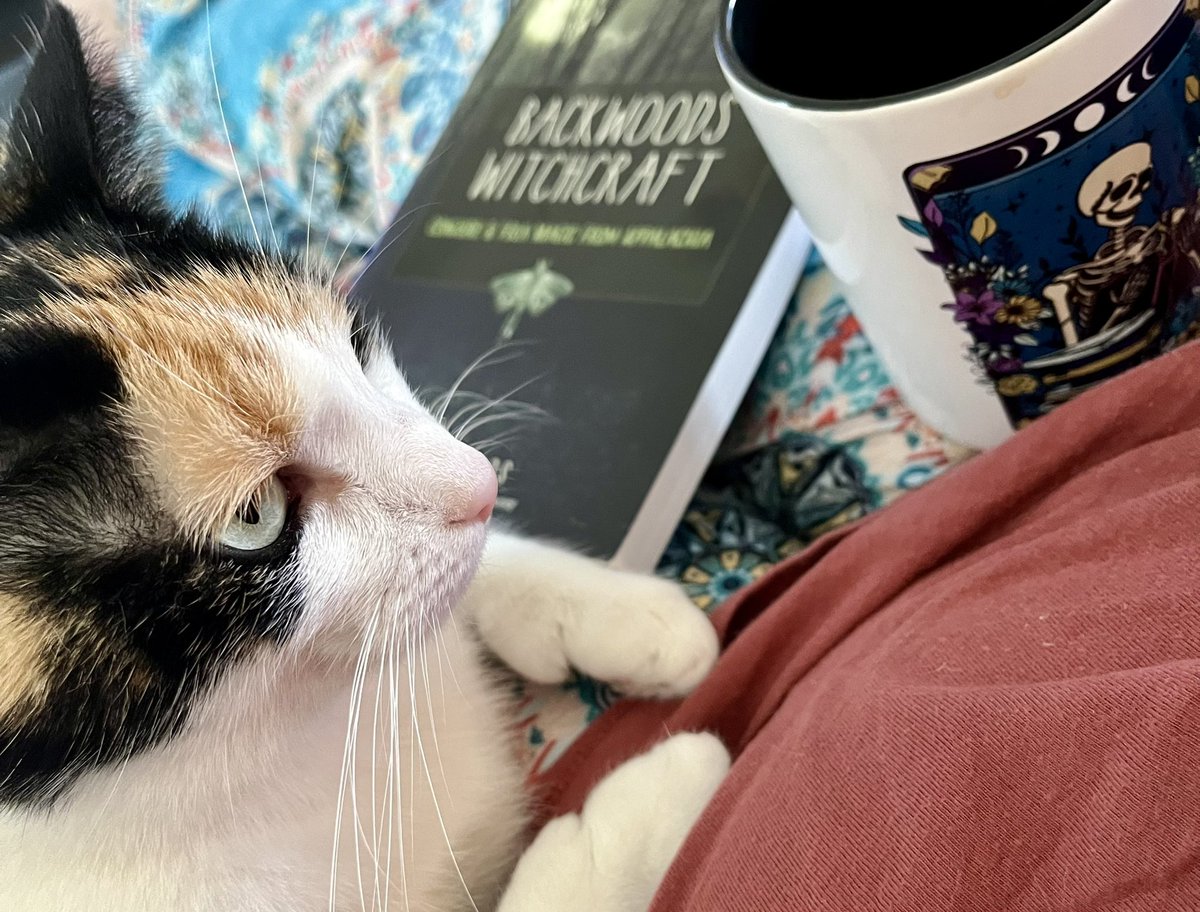 StardustWV's tweet photo. #caturday with coffee ☕️ and a book 📚 = #perfection
How are you spending your weekend? #writingcommunity
#authorlife #readingforresearch #backwoodswitchcraft
@JakeRichards131 ♥️ https://t.co/QDrpOuRtV5
