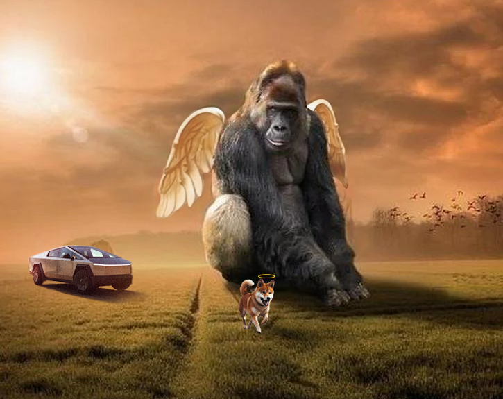 Friendships are forever in $HEAVEN