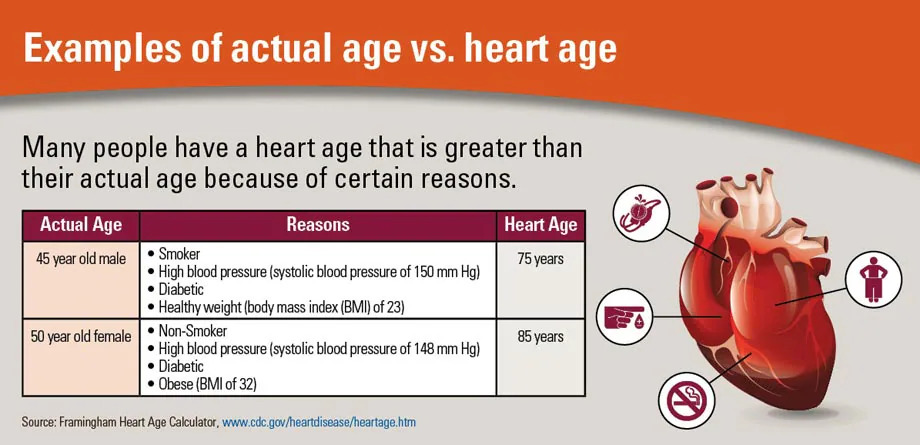 Cardiovascular disease is the #1 killer in the world & the heart stiffens as we age. 

Researchers at UT Southwestern did a 2 year study where they were able to help 50-year-olds reduce the age of their heart by an average of 20 years.

Here's how they did it 👇🏼