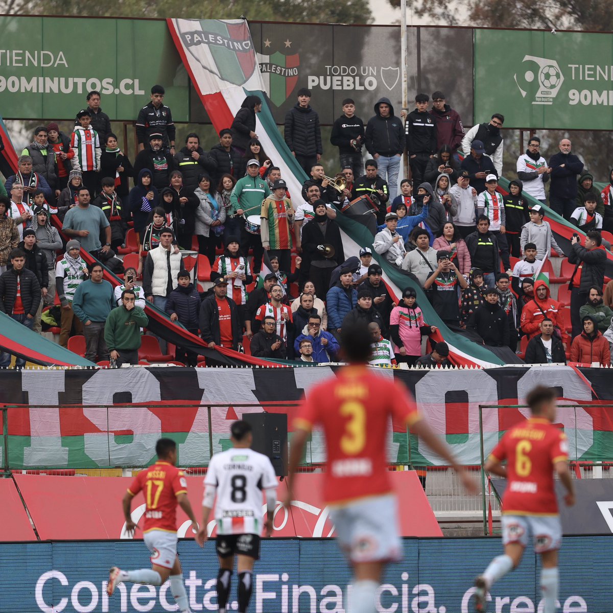 No importa el día ni la hora. La bandita que nunca decepciona ❤️💚

#TodoUnPueblo 🇵🇸