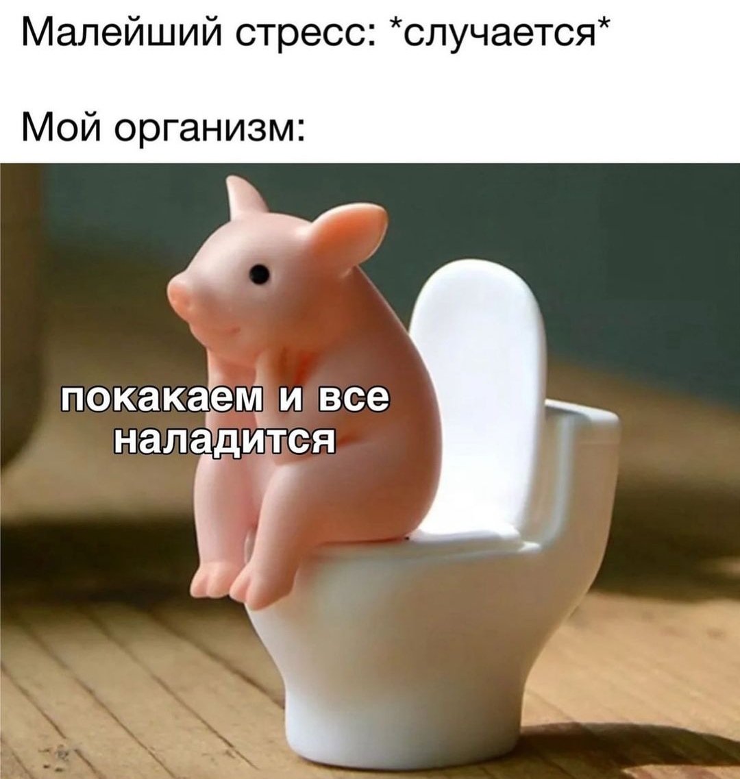 Иллюзия Мохито (@illuzia_moxito) on Twitter photo 
