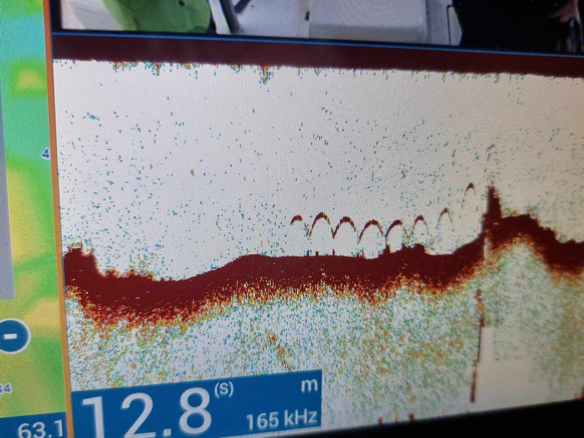 Noel H (@klondyker) on Twitter photo Positive results from tests using weighted ropes for creeling to try reduce risk of 'floating' ropes between pots - as shown in this pic we got going over creels recently - that can get caught in baleen & round fins.
Good work from <a href="/CreelScff/">SCFF</a>, <a href="/whalesorg/">Whale and Dolphin Conservation (WDC)</a>
independent.co.uk/climate-change… Positive results from tests using weighted ropes for creeling to try reduce risk of 'floating' ropes between pots - as shown in this pic we got going over creels recently - that can get caught in baleen & round fins.
Good work from <a href="/CreelScff/">SCFF</a>, <a href="/whalesorg/">Whale and Dolphin Conservation (WDC)</a>
independent.co.uk/climate-change…