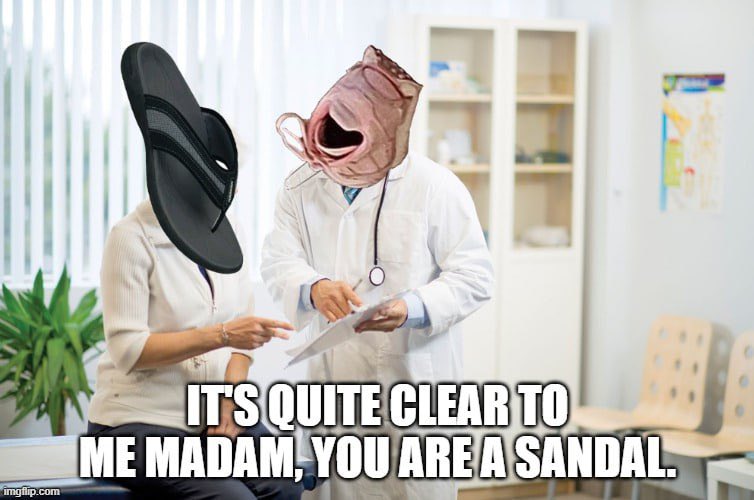 ScarletBeard tweet media