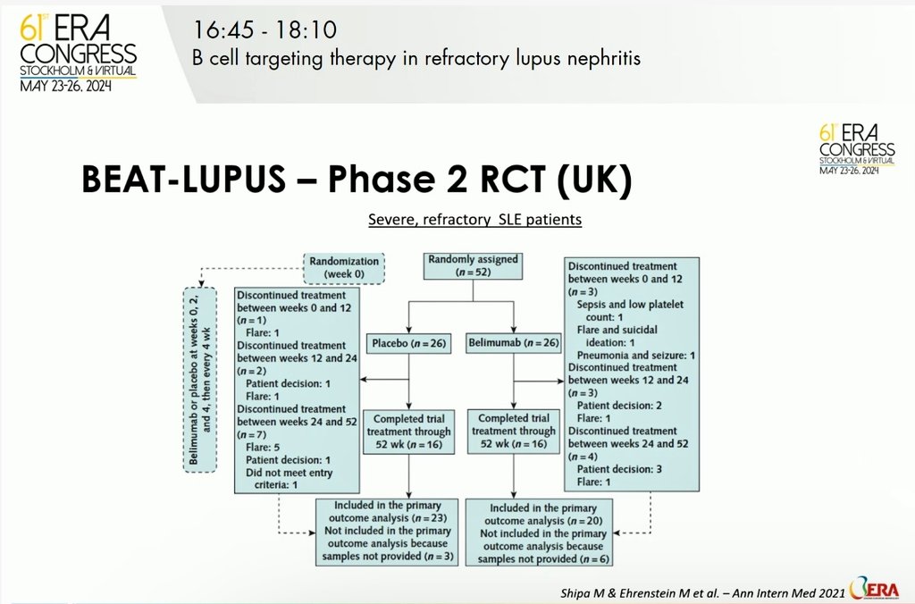 Rituximab – Belimumab in lupus nephritis by @ykoteng_LUMC #ERA24 🌟Promising combination 🌟Targets surge of BAFF and memory B cells 🌟CALIBRATE and BEAT-LUPUS study👇👇