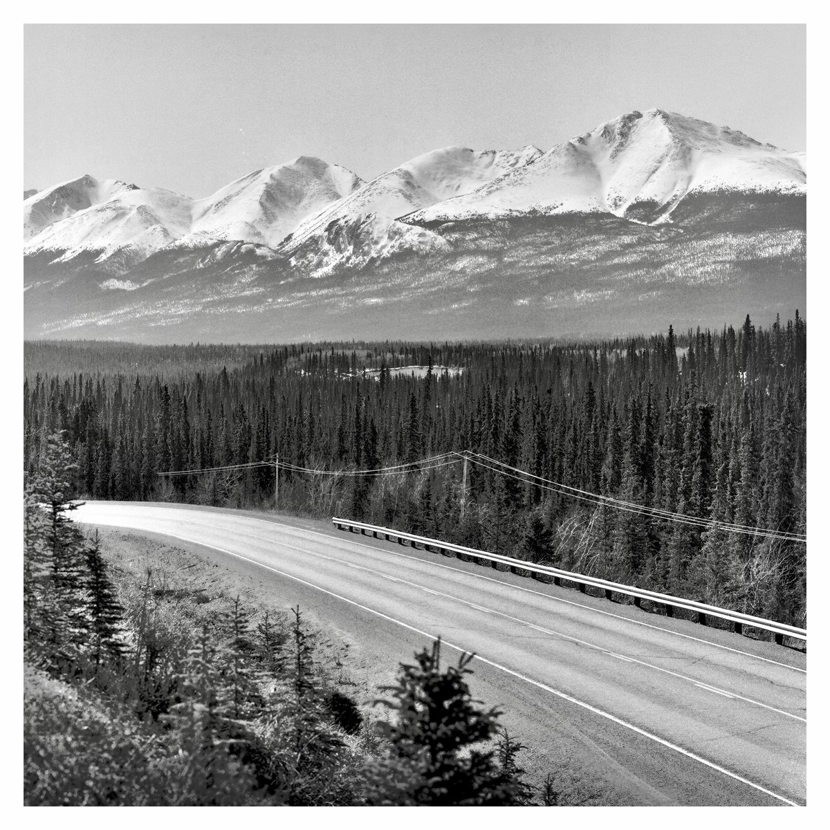 South Klondike Hwy

Hasselblad 500CM
Zeiss Planar 150mm f4
Ilford Delta 400
The Yukon
#believeinfilm
#filmphotography