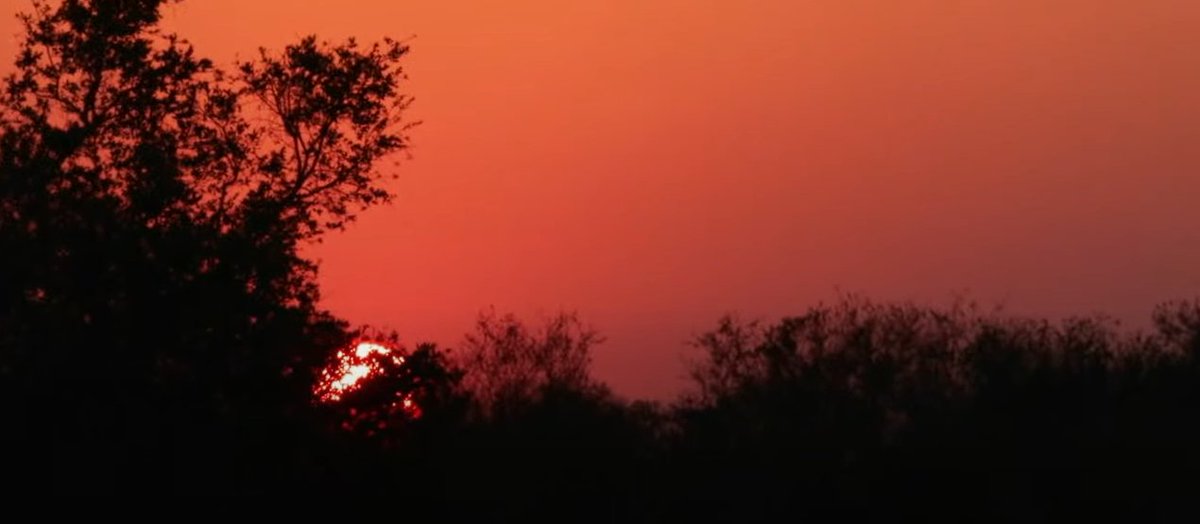 Thanks for the birthday wishes, everyone! #WildEarth <a href="/WildEarth/">WildEarth</a>