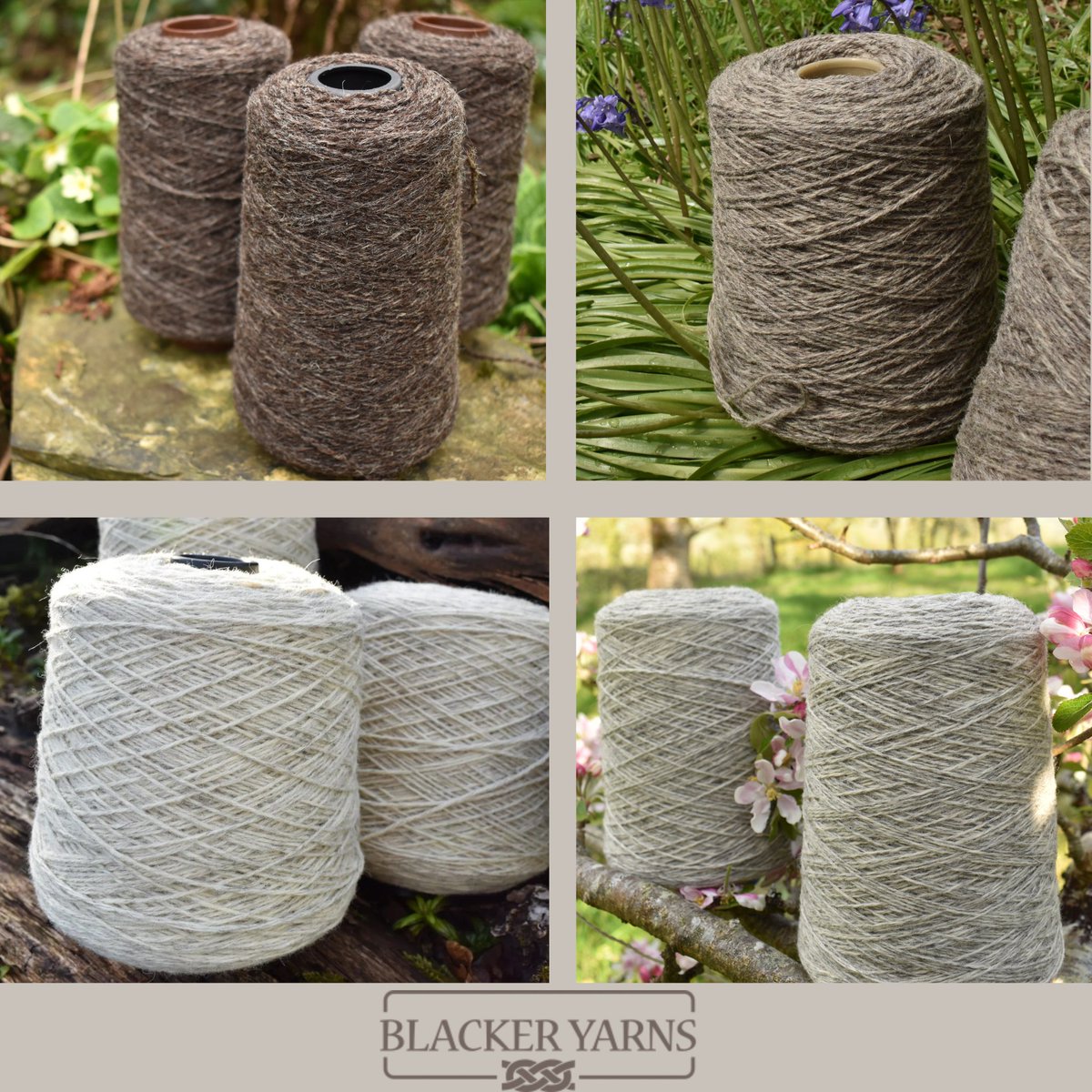 Our range of beautiful, specially selected, undyed British Breed yarns on cone include Black Welsh Mountain, Corriedale/Gotland, Jacob, Shetland to Merino and Alpaca wool. Oiled on cone yarn is ideal for hand dyeing, knitting and crocheting. 
blackeryarns.co.uk/yarn-on-cone/