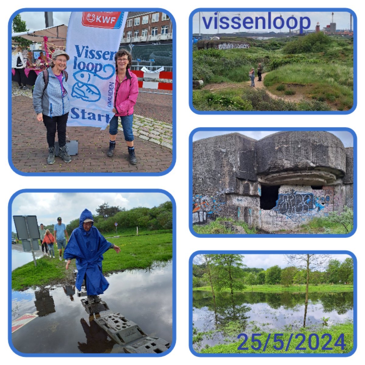Wij leken wel de vissen in het water tijdens de vissenloop, zoveel water dat er viel tijdens onze wandeling in ijmuiden