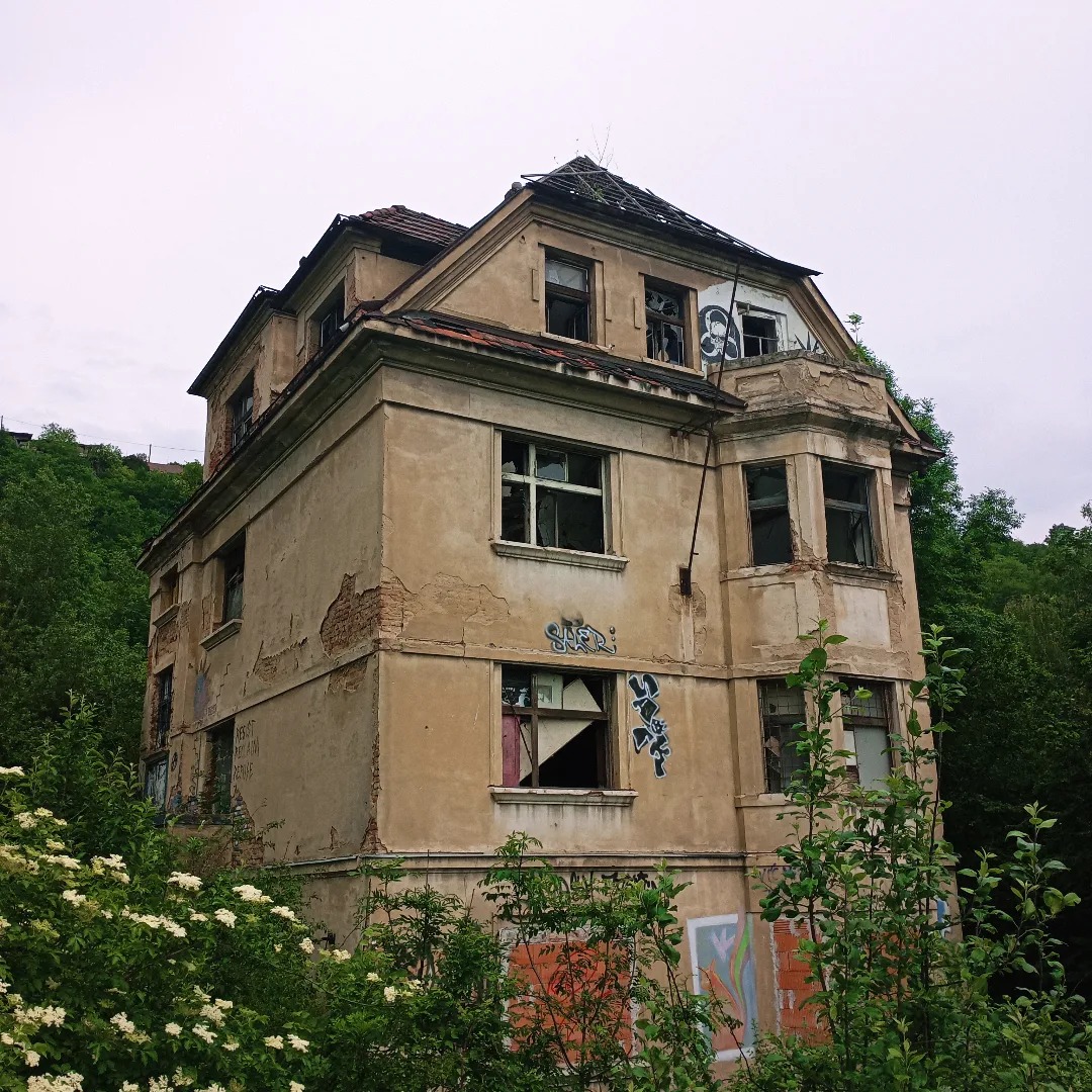 jen vzkvétá, to nemohu říct...

kdyby někoho náhodou zajímalo, jak vypadá vila milada 15 let po vyklizení.