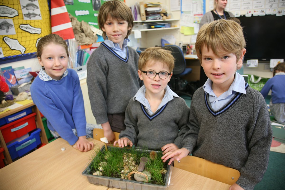 #HazlegroveYear2 loved using their keen eyes to discuss the results of our growing experiments as we proved our hypothesis on the conditions needed to grow sunflowers. 

#HazlegrovePrePrep #HazlegroveScience