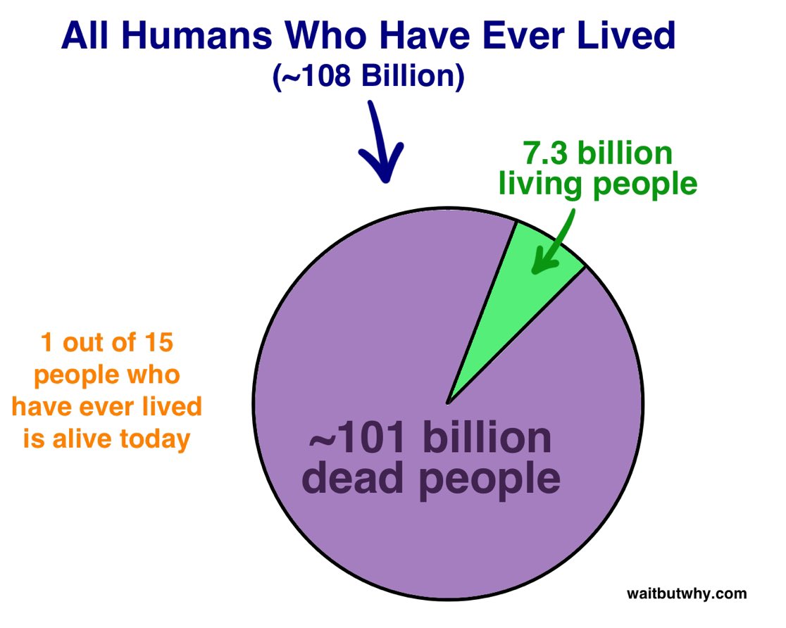 Bogdan Evtushenko tweet media