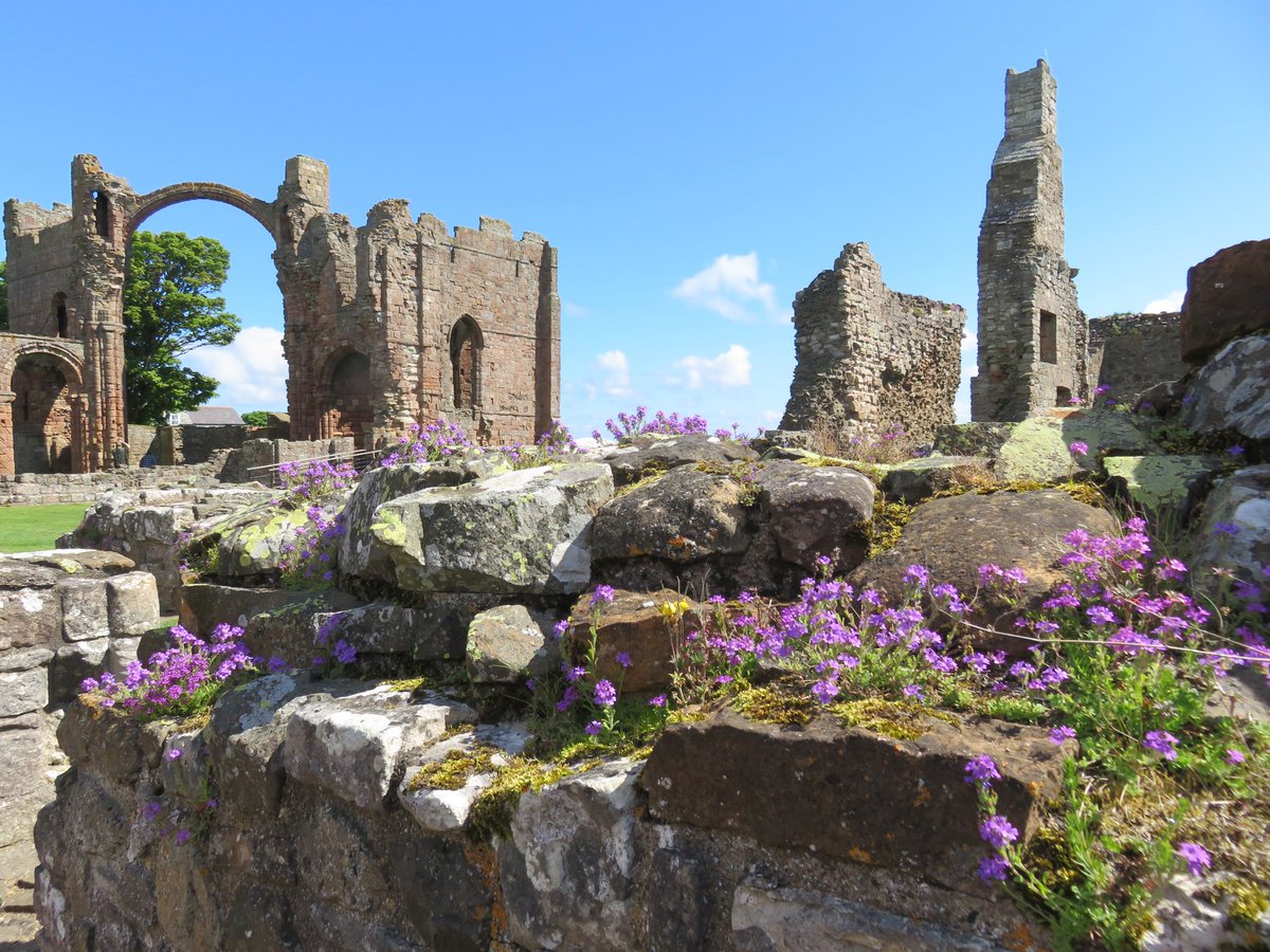 DavidB_2003's tweet photo. Lovely Visit To Lindisfarne Priory Today….Brilliant Site So Tranquil &amp; Relaxing! @EnglishHeritage @holyisland_ @medcaut https://t.co/9SshTAVcpI