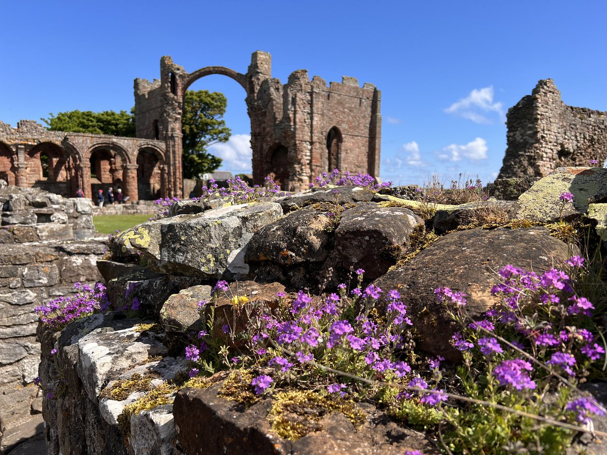Lovely Visit To Lindisfarne Priory Today….Brilliant Site So Tranquil &amp; Relaxing! <a href="/EnglishHeritage/">English Heritage</a> <a href="/holyisland_/">Holy Island</a> <a href="/medcaut/">Lindisfarne Heritage</a>