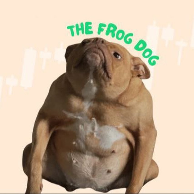 Thefrogdogonsol's tweet photo. it is a mix between a FROG and a DOG it's name is $FOG it is so bullish!!! https://t.co/TfCDLAJ3Qn https://t.co/0EVIZMBkmE