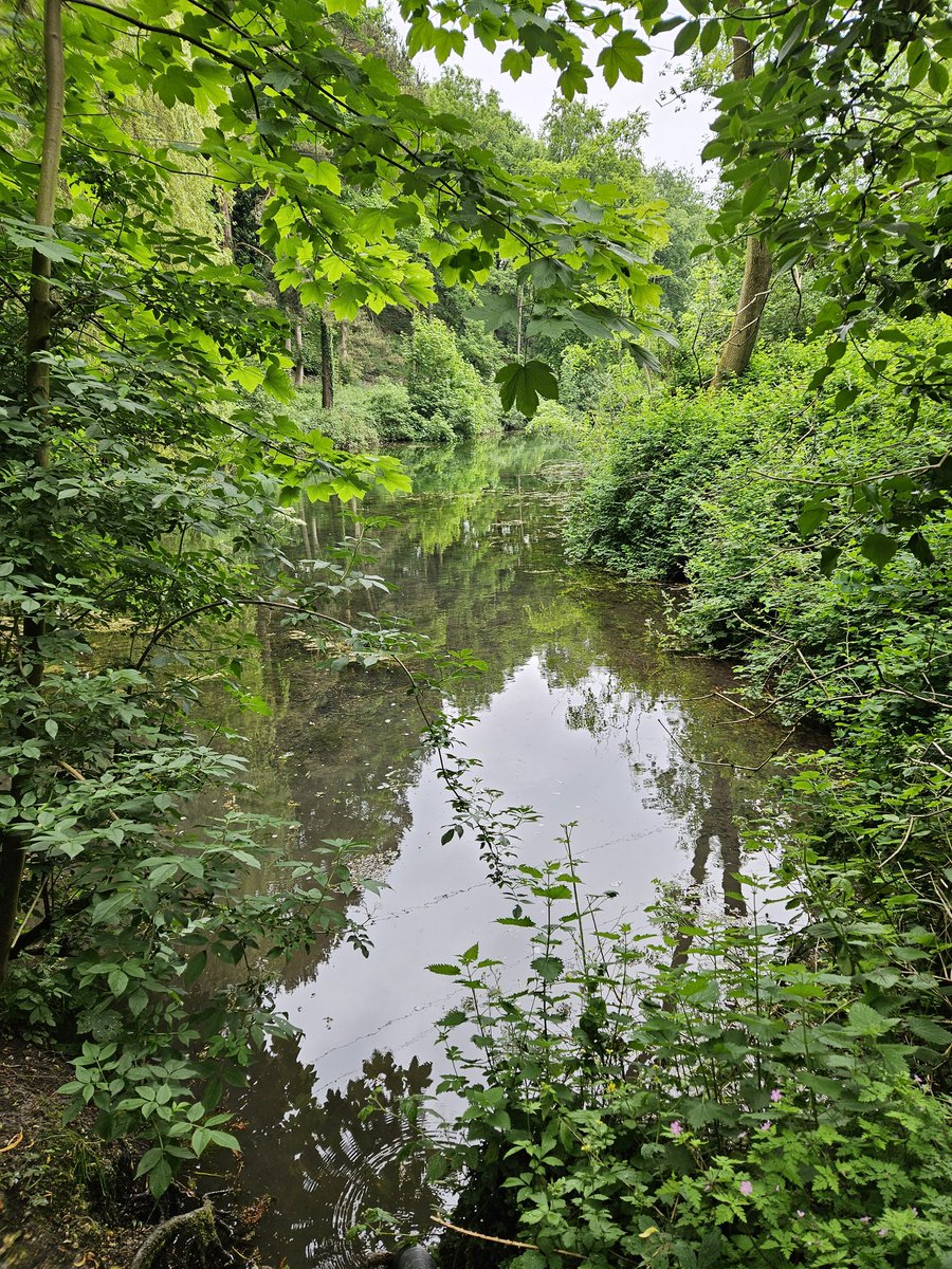 Tranby_DofE's tweet image. Lovely 9km walk with Year 11 @Tranby_school pupils today for their #DofE They did a bit more than this as I got to take the shortcuts!