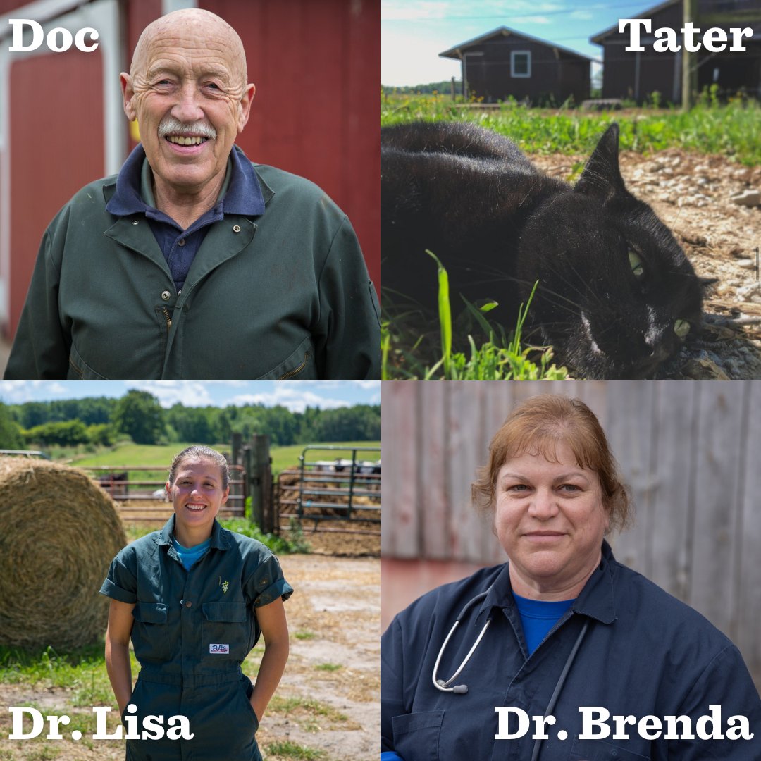 Dr. Pol tweet media