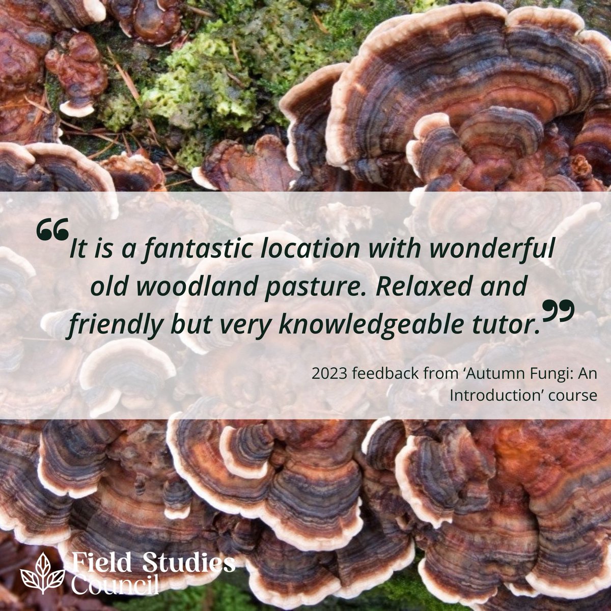 🍃Thinking of joining us for a biodiversity course? Here's just some of the feedback from our wonderful participants 💚 👇 Browse our courses: field-studies-council.org/biodiversity-c…