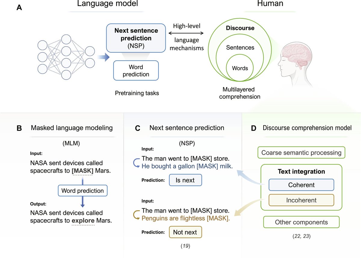 Teaching large language models to predict sentences has revealed a new clue about how the brain reads. scim.ag/75v