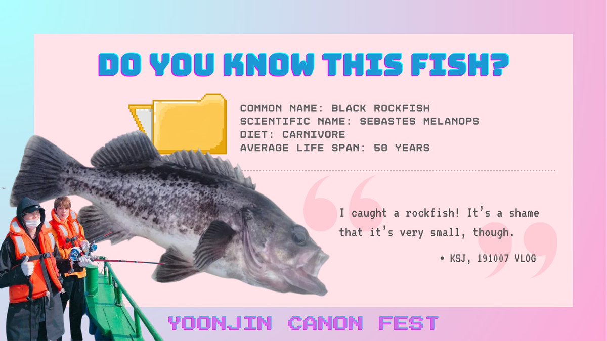 yoonjin_canon's tweet photo. [FISH NAMES] Last launch fish of the day! 🤓☝️

#yoonjin #yoonjincanonfest #fishnames https://t.co/VwNEFuXnzS