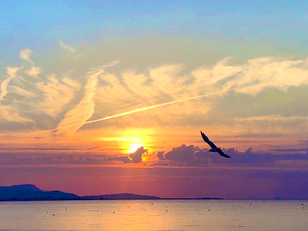 zeLaure_'s tweet image. C rayon #Divin 
E n #Sept #Couleurs 
N ote #Clé #Vertus 
D’#Amour #Divin 
R endez-vous #Céleste 
E ssence #Ciel 
S ymphonie 

D’#Unité 
U ne #Voie #Lactée 

P archemin 
H abillé d’#Or 
O #Pouvoirs de #Lumière 
E n #Liberté 
N ote Clé #Renaissance 
I nvitation #Intérieure 
X #x l