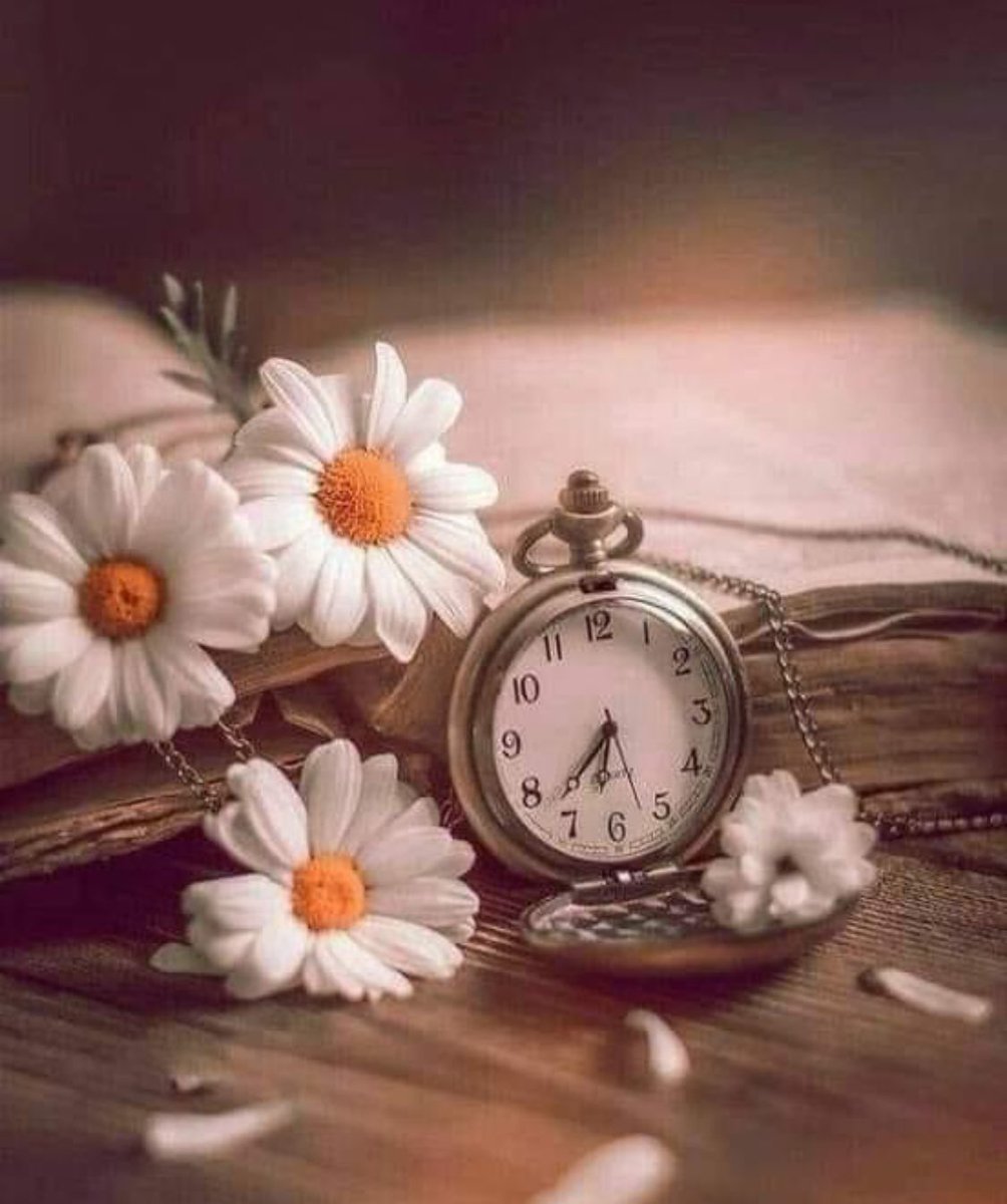 EngShadi6's tweet photo. كان كل شيء واضحاً منذ البداية🥀
لكننا لانفهم بالإشارات...إننا نفهم بالصفعات🥀 https://t.co/3veWYrIU61