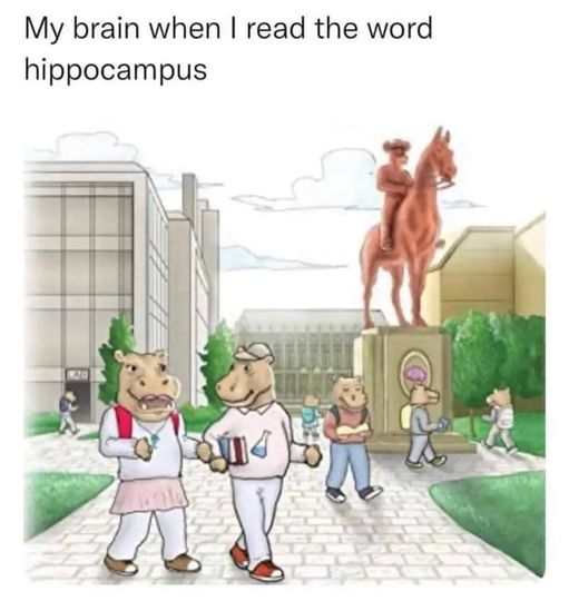 RespectfulMemes's tweet photo. https://t.co/qhWe3VQ26J