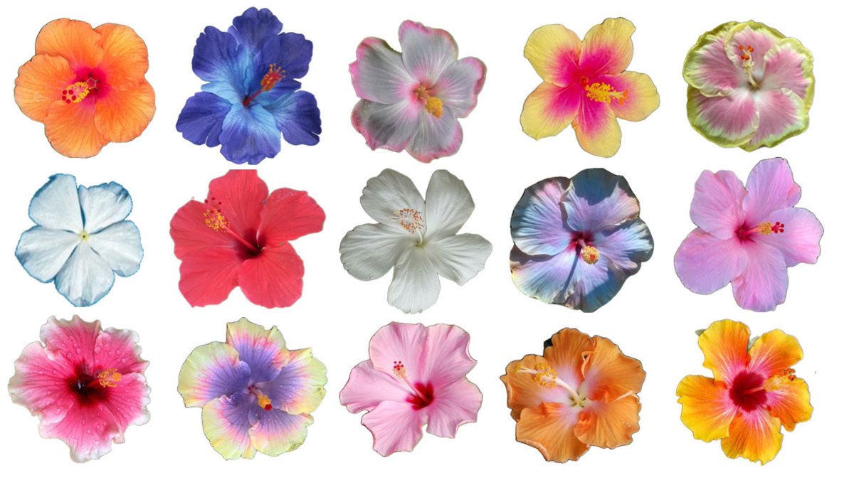 gal౨ৎ (@prtygal777) on Twitter photo 