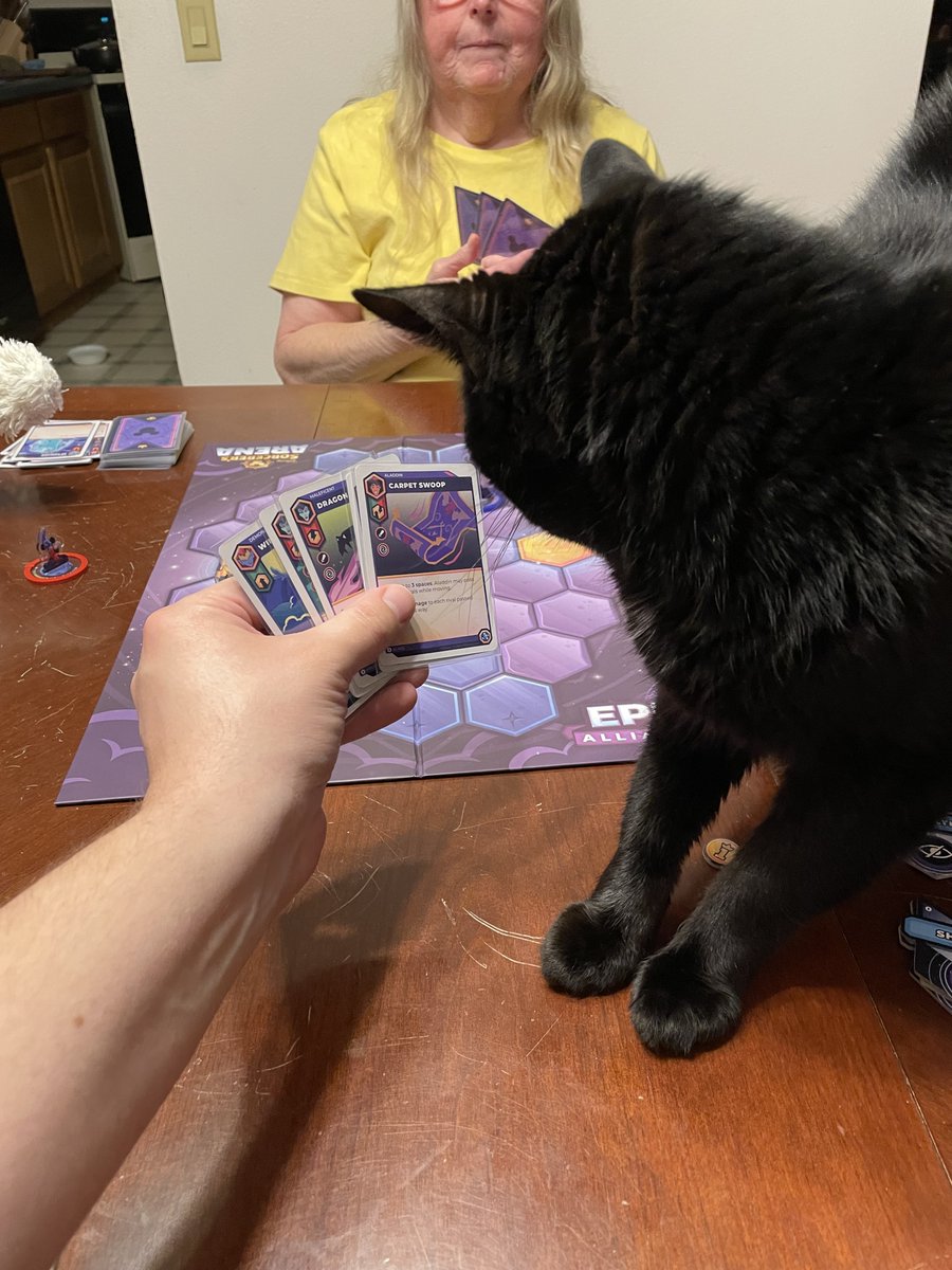 @TheOpGames , @gamemakerfletch . Is there a rule for a cat on the field? ...or having said cat peak at your hand to pick what you're going to play? Amazingly he avoided every character on the field.