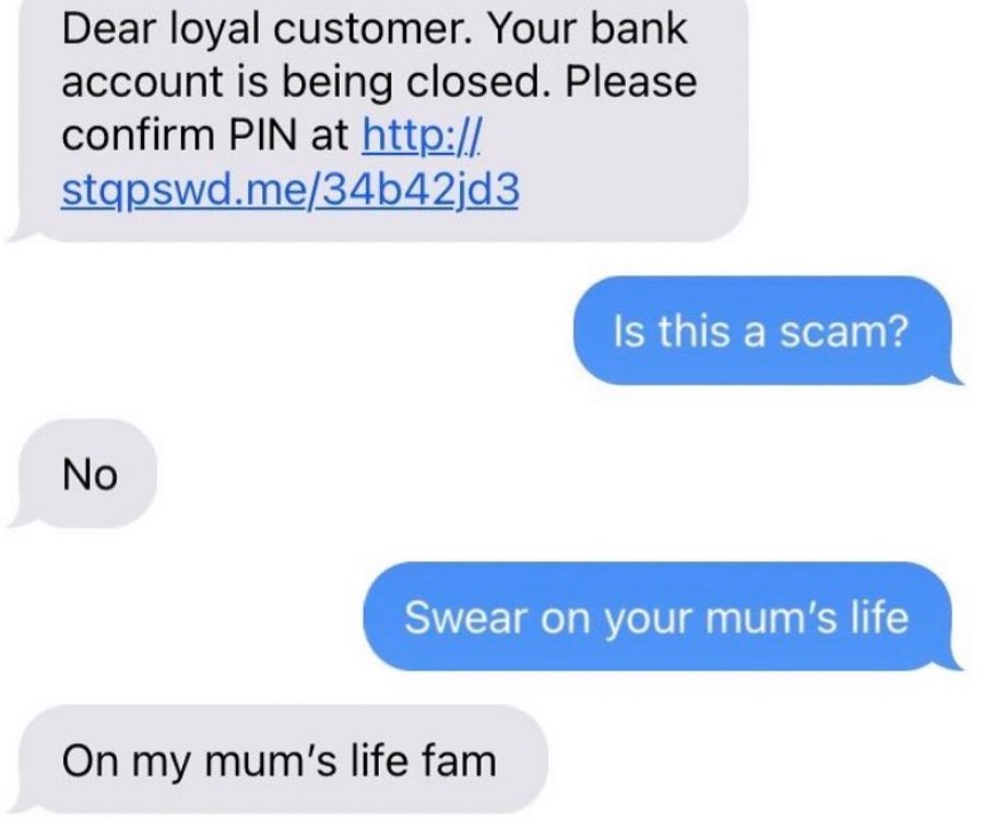 I asked my daughter what she thought about this exchange (not mine). She solemnly warned that it was probably a scam. She has a nose for this kind of thing.