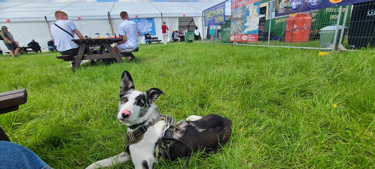 MarkLastMiner's tweet photo. Time for a break at Crick

Just so happens its near beer tent.........

🤠🤠☺️☺️🍺🍺

#CrickShow https://t.co/9zEFkb51Yo