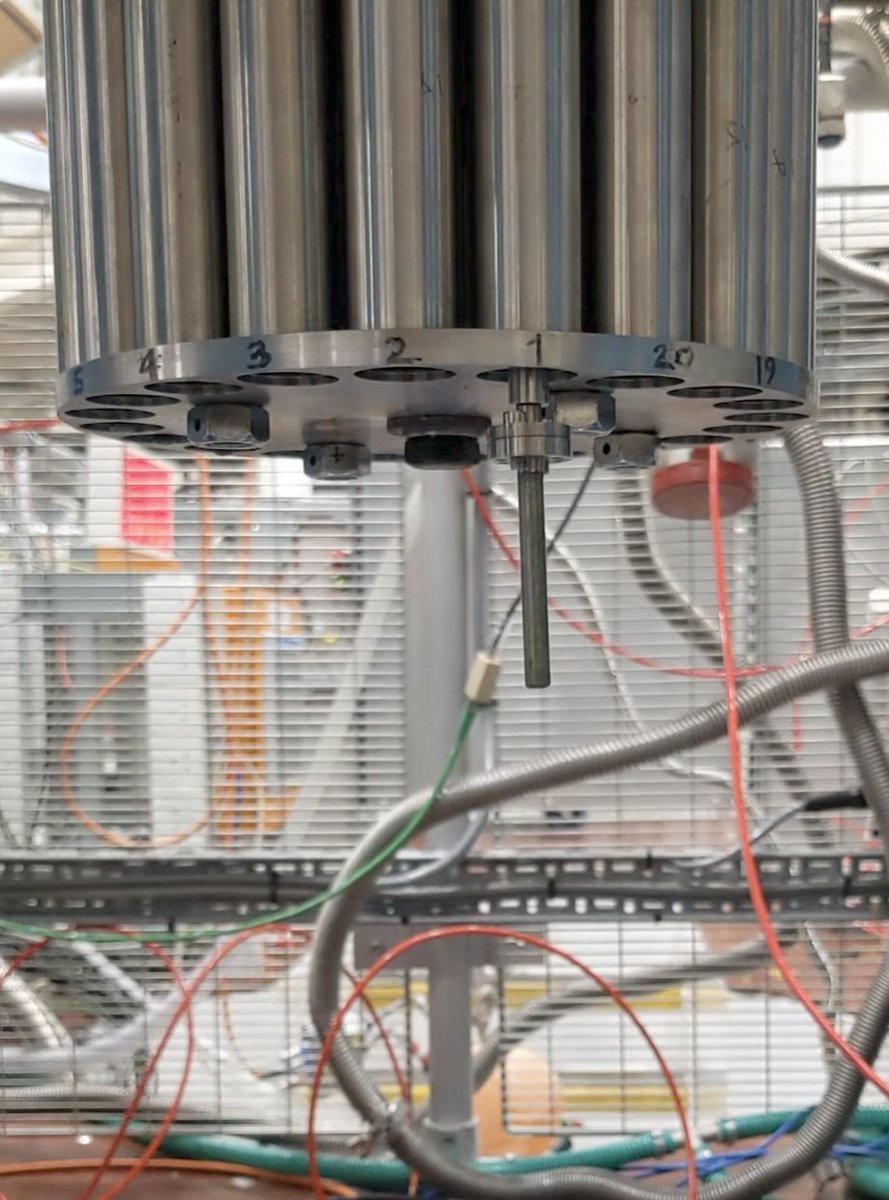 James Steele tweet media