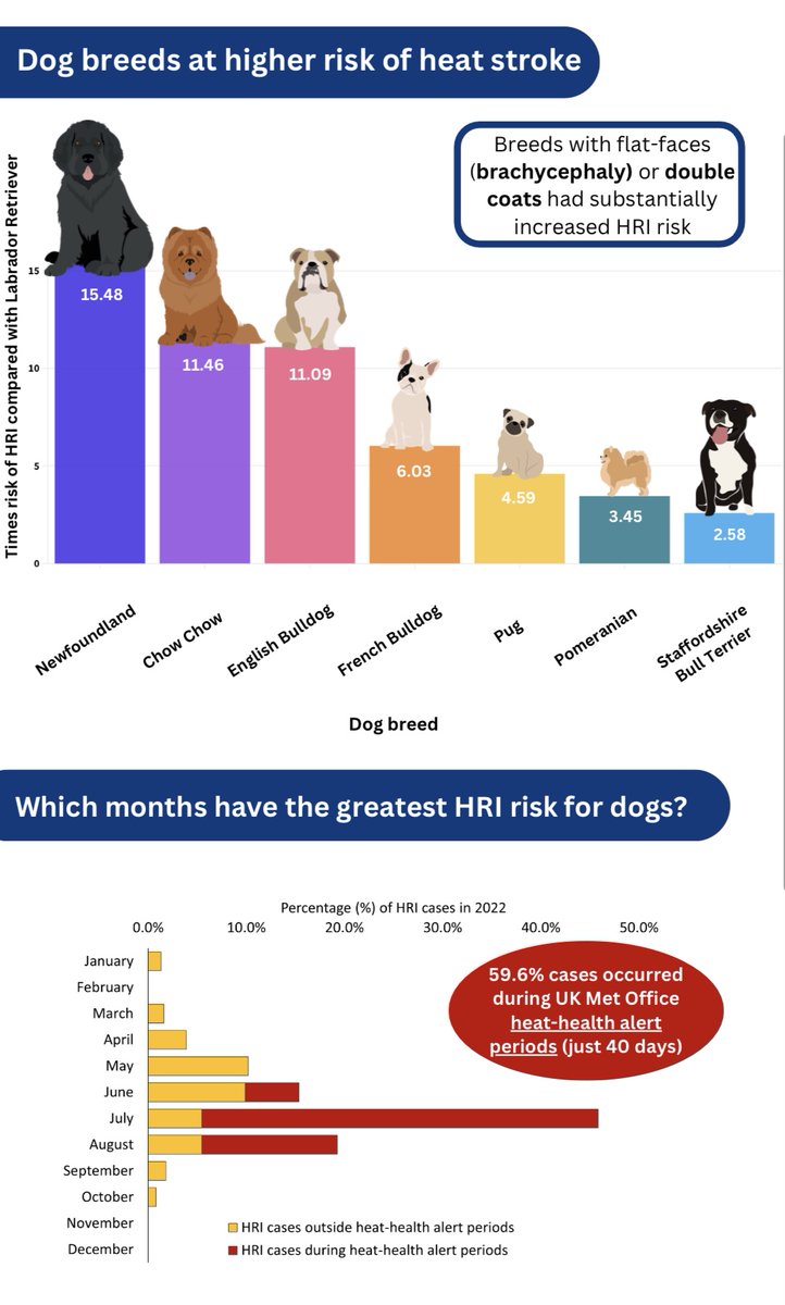 VetCompass tweet media