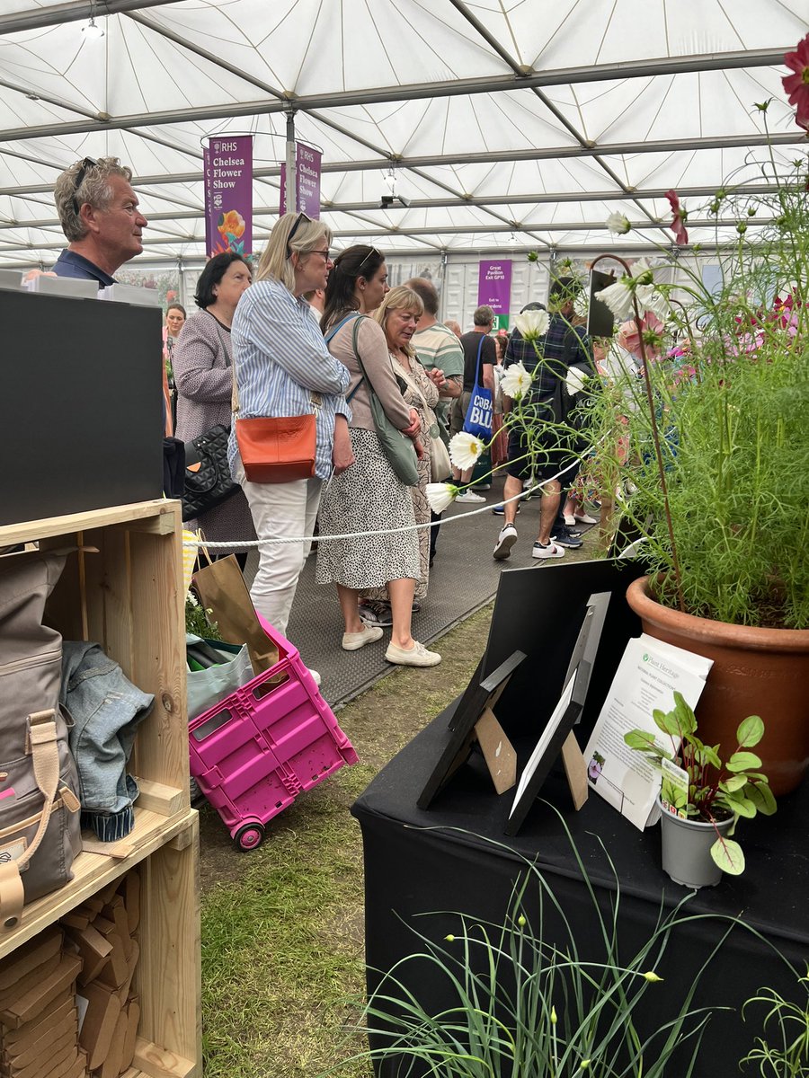 Hugely pleasantly surprised by the number of people … including from abroad asking about peat #peatfree at #rhschelsea I know the judges didn’t necessarily appreciate the messaging but it’s hitting home.
