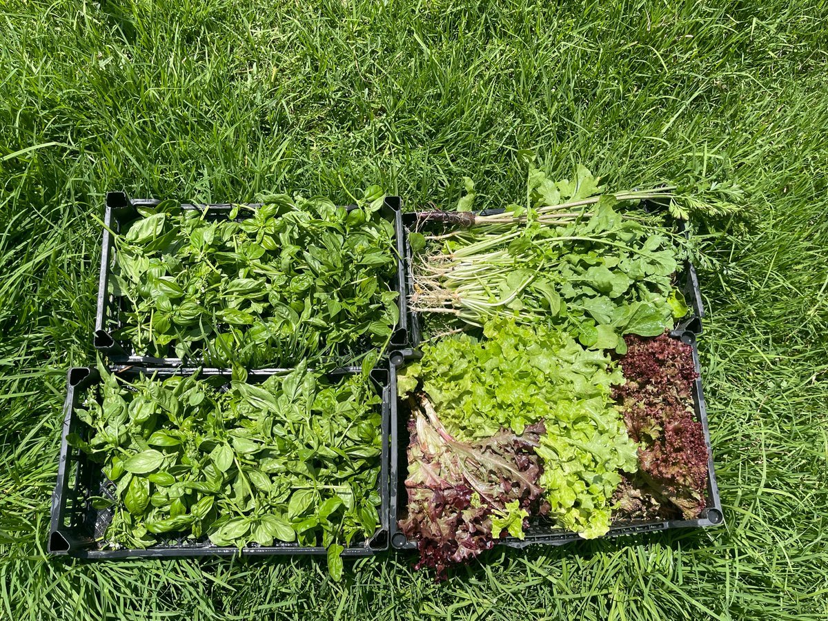 🫒At Oliveland Ecological Farm, we produce the special needs of our contracted production partners within the consumption cycle. We identify the needs of businesses on a daily basis and deliver them fresh. 
In addition to the advantage of offering daily ecological products to