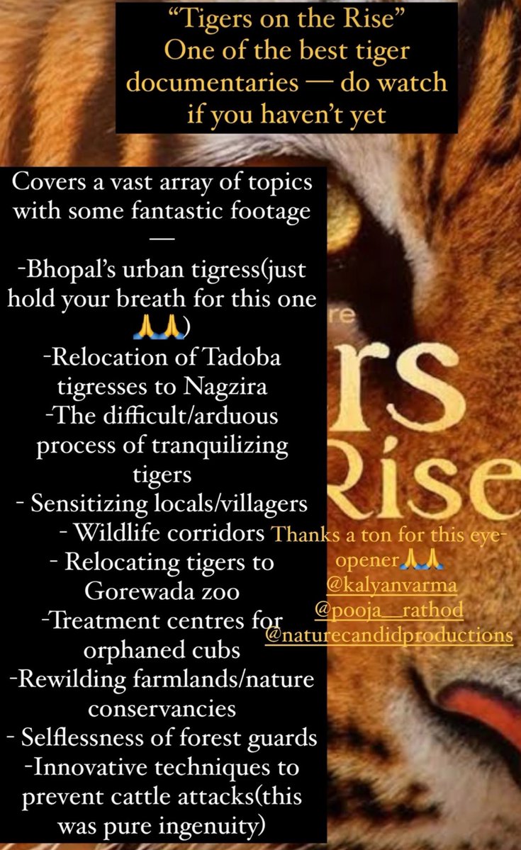 Anirudh Laxmipathy (@anirudh123) on Twitter photo Finally got to watch “Tigers on the Rise” what a stunning piece of work - informative /educative at the same time deeply engaging - struck the right balance.
Thanks a ton <a href="/KalyanVarma/">Kalyan Varma</a> <a href="/DisneyPlusHS/">OfficialJioHS</a> 🙏
- have listed below all the topics covered(screengrab from my insta-story) Finally got to watch “Tigers on the Rise” what a stunning piece of work - informative /educative at the same time deeply engaging - struck the right balance.
Thanks a ton <a href="/KalyanVarma/">Kalyan Varma</a> <a href="/DisneyPlusHS/">OfficialJioHS</a> 🙏
- have listed below all the topics covered(screengrab from my insta-story)
