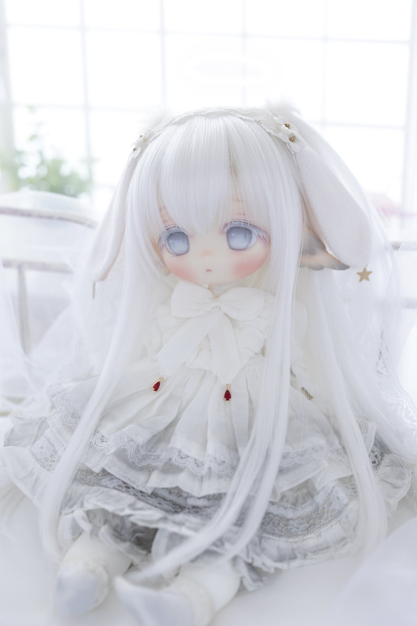 Today's momoko 2406 2nd - PetWORKs Store