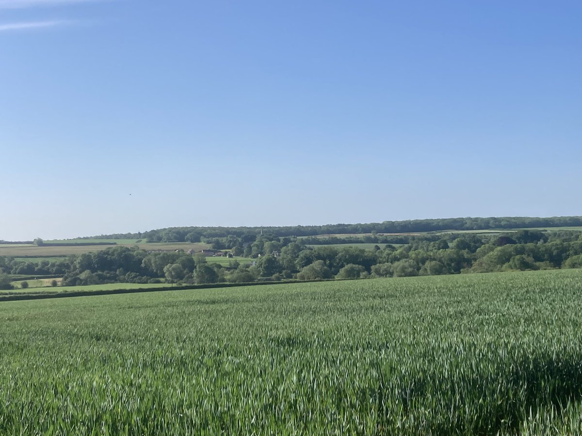 A wonderful day for an <a href="/FarmRunnerUK/">Farm Runner</a>. Happy Saturday.