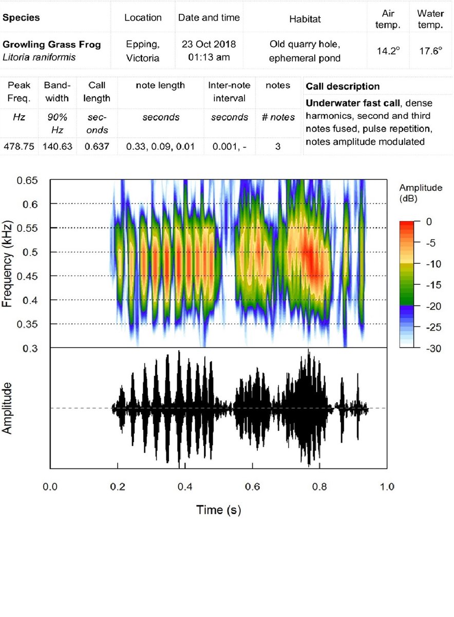 Dr Jeff Hughes from <a href="/RMIT/">RMIT University</a> talking about underwater frog ribbits on Thursday the 6th of June at 7:30pm at the Elgin Inn (Hawthorn). 🐸🏊‍♂️
Join us for dinner at 6:30pm!