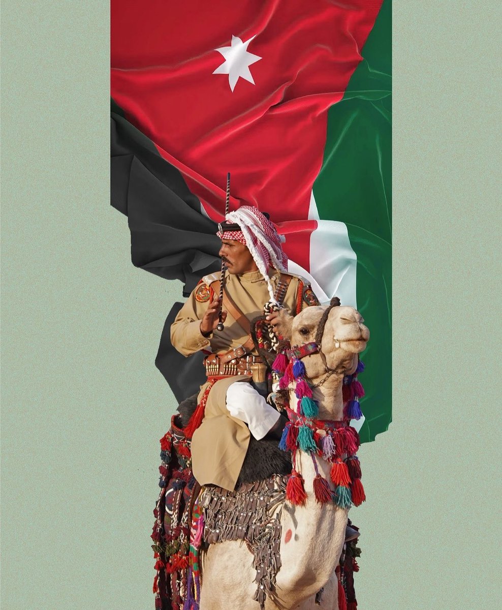 Reefeya__'s tweet photo. في حجم بعض الوردِ إلا أنه لكَ شوكةٌ ردّت إلى الشرقِ الصبا ❤️🇯🇴 

#استقلال_الأردن78 
#استقلال_الأردن #استقلال_٧٨ 
#Jordan_Independence_Day78 
#visitjo 
#المملكة_الأردنية_الهاشمية https://t.co/zJwVeWB1QS