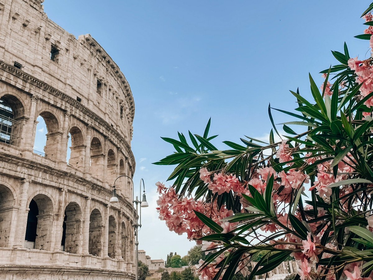 TreasureRome's tweet photo. Spring is a wonderful time to visit Rome. 🌸

📸: some shots from over the years and our latest newsletter (DM us if you want to sign up). 

#rome #roma #treasurerome #beyondrome #springinrome https://t.co/MgkwEryt1U