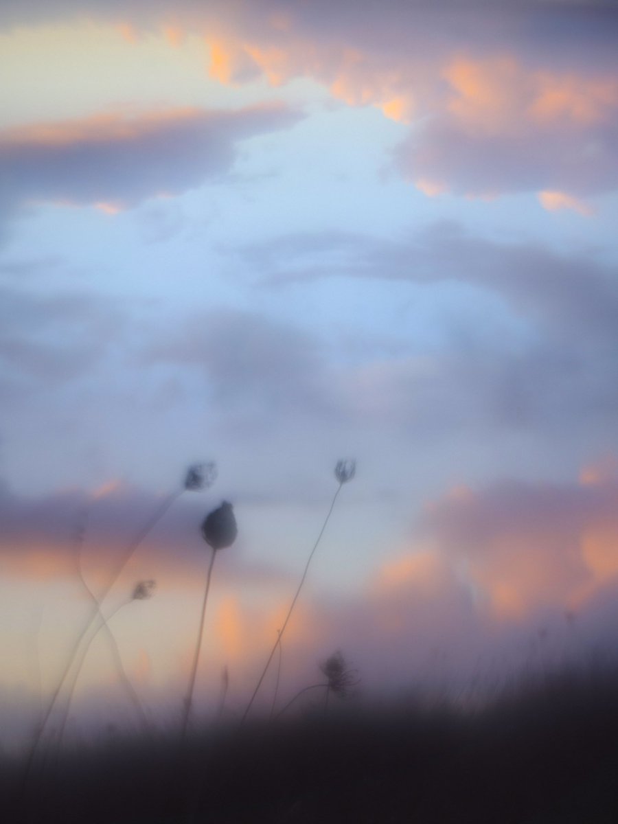 Nostalgia Sold Out!

Thank you so much Alie 🙏🤍 for collecting last one!

I couldn’t find your x, I’ll be glad if you see this post!