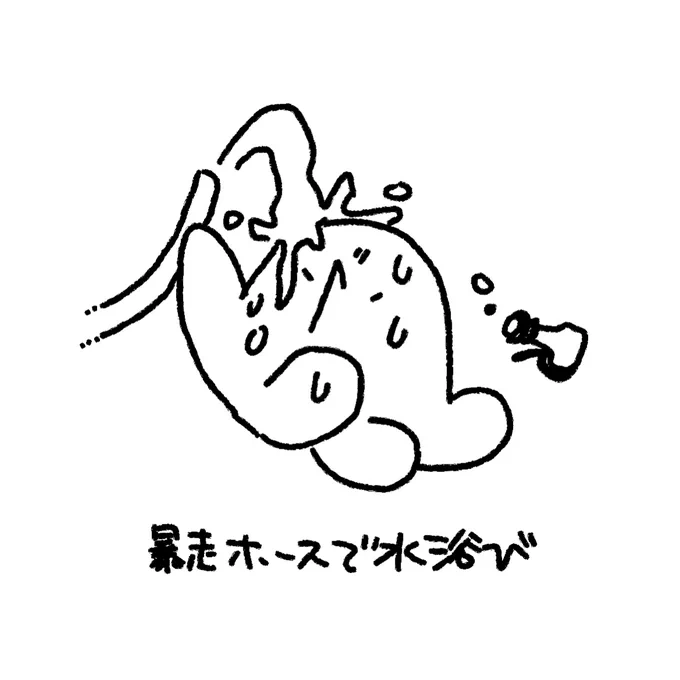 #タコ日記 窓はめっちゃ綺麗になっタコ 