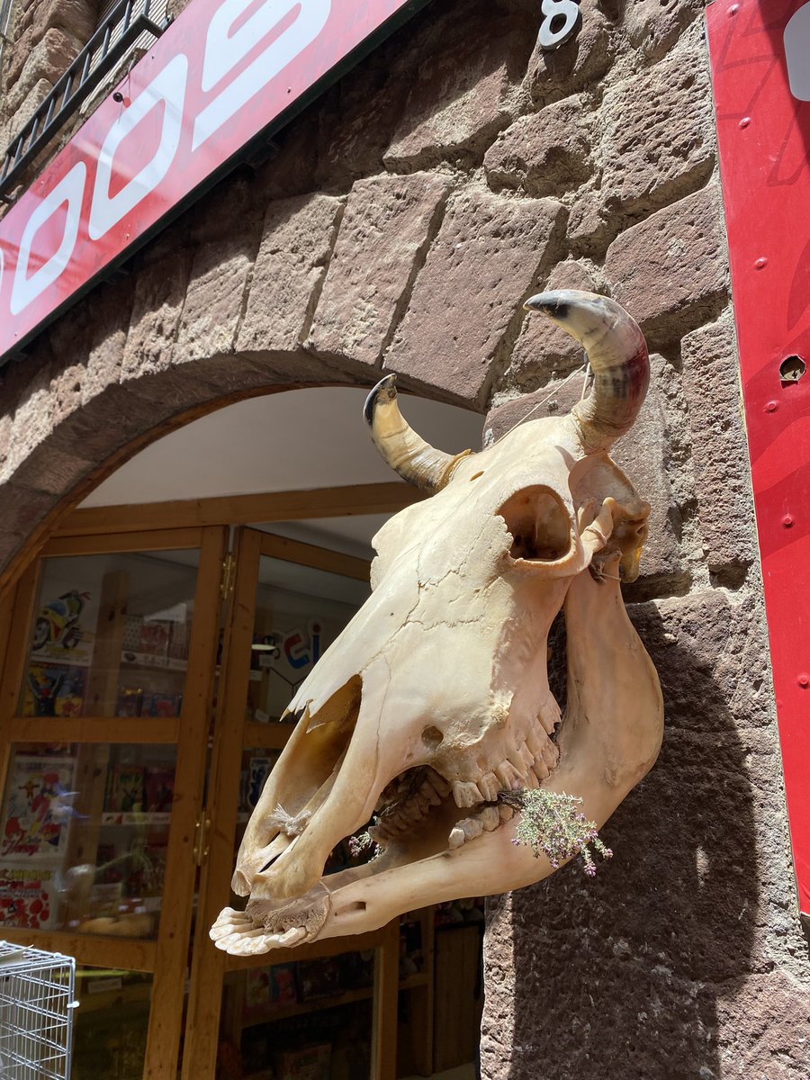 oosocomic's tweet photo. Avui #festadelafarigola a can #ooso #prades https://t.co/E06dMczoqG
