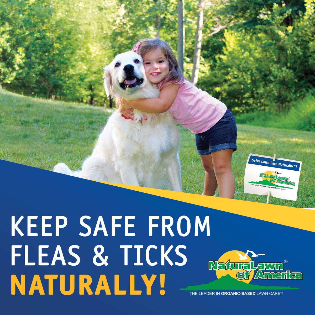 Be bite-free this Memorial Day! Regularly treating your yard for fleas and ticks helps protect from contracting Lyme Disease carried by these pests. We can help: naturalawn.com/free-price-quo… #NaturaLawn #NLA #PetFriendly #Pest #FleaAndTick #LymeDisease