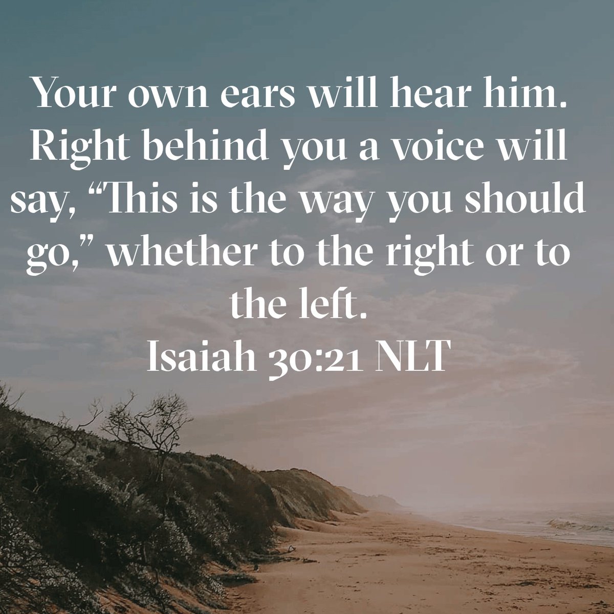 NewCoveFW's tweet image. God will speak to you, guiding your every step. #Isaiah30v21 #scripturesaturday