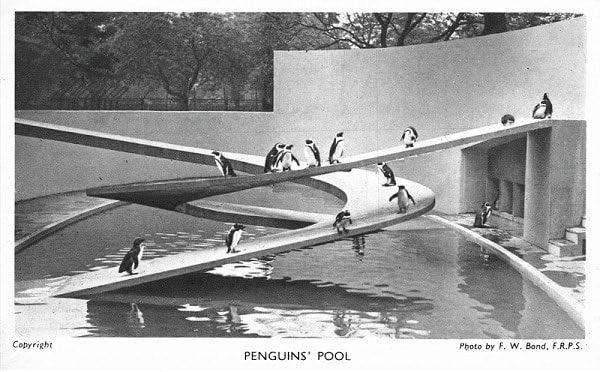 The Penguin Pool at London Zoo was opened 90 years ago this month. Designed by Berthold Lubetkin, with engineering by Ove Arup, the elliptical pool features interlocking spiral ramps in reinforced concrete