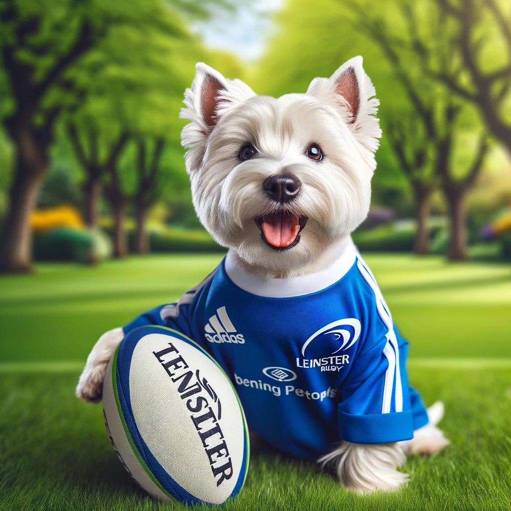 Good luck Leinster in the European Championship Rugby Cup Final today #Leinsterrugby