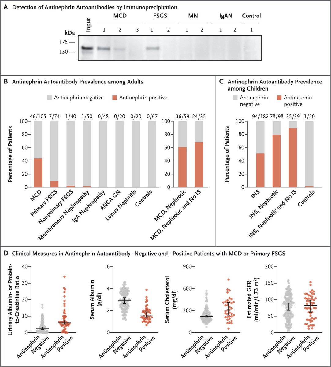 Swapnil Hiremath @hswapnil.medsky.social tweet media